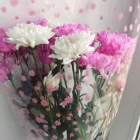 Моя Улыбка