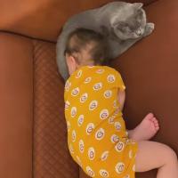 Мечты Сбываются 