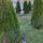 leo_lenap_45