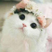 Алёна 