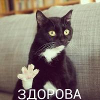 Назик