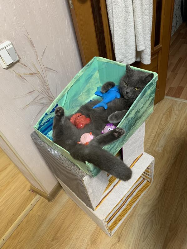 post image 1