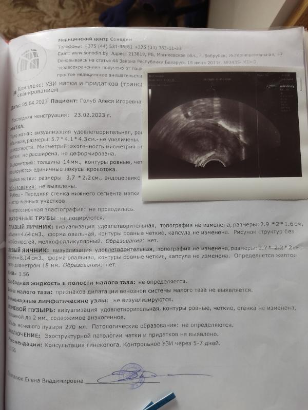 post image 4
