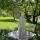 alievva.18_