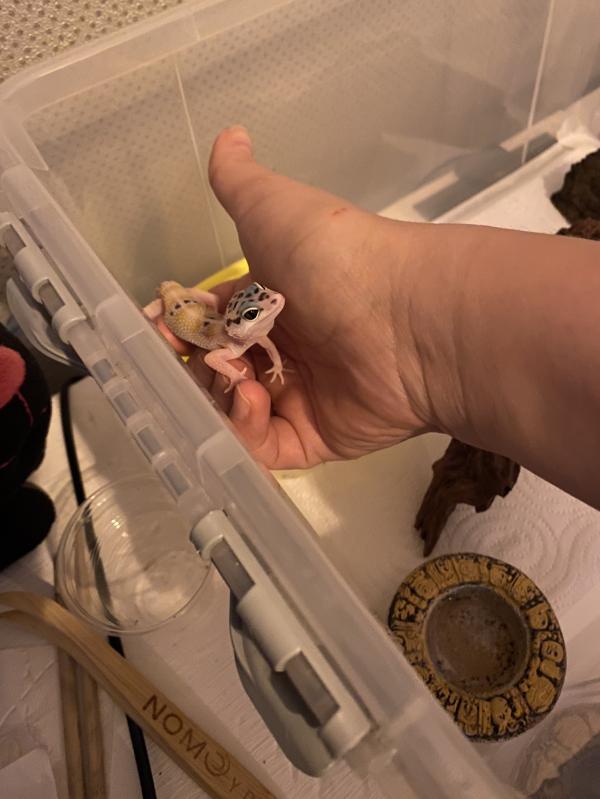 post image 3