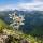 edelweiss_