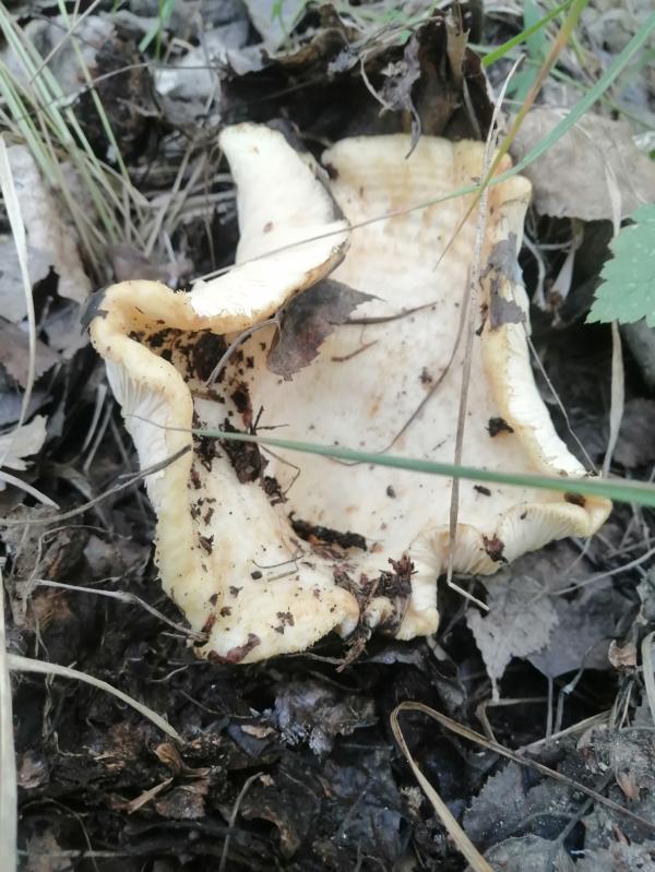post image 4
