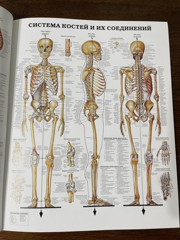 post image 4