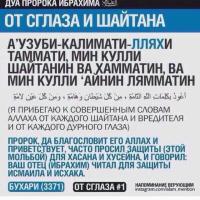 Патя 