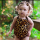 hedi_amira