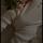khadizhat.gadzhiyeva.99