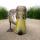 euphorie_