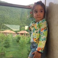 Aysel
