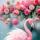 pink_flamingo_via