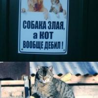 Ольга