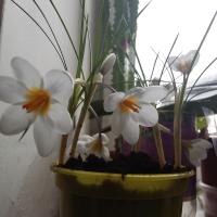 m.lena_3_mom