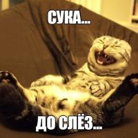 Виктория