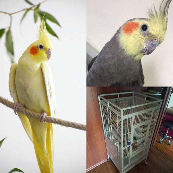 post image 1
