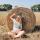 eva_psy_psy