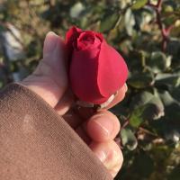 Amina Blog