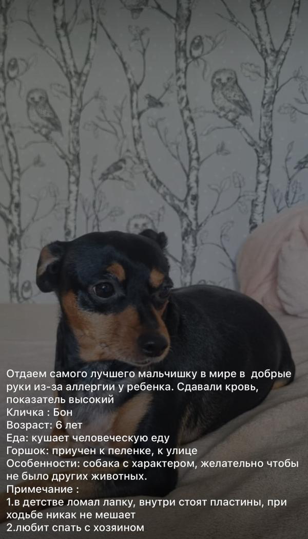 post image