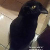 екатМама