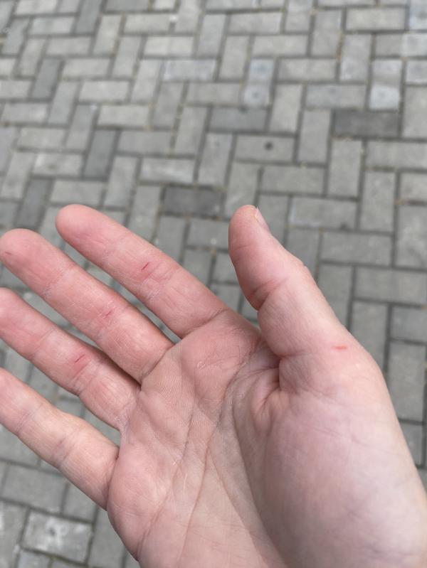 post image 2