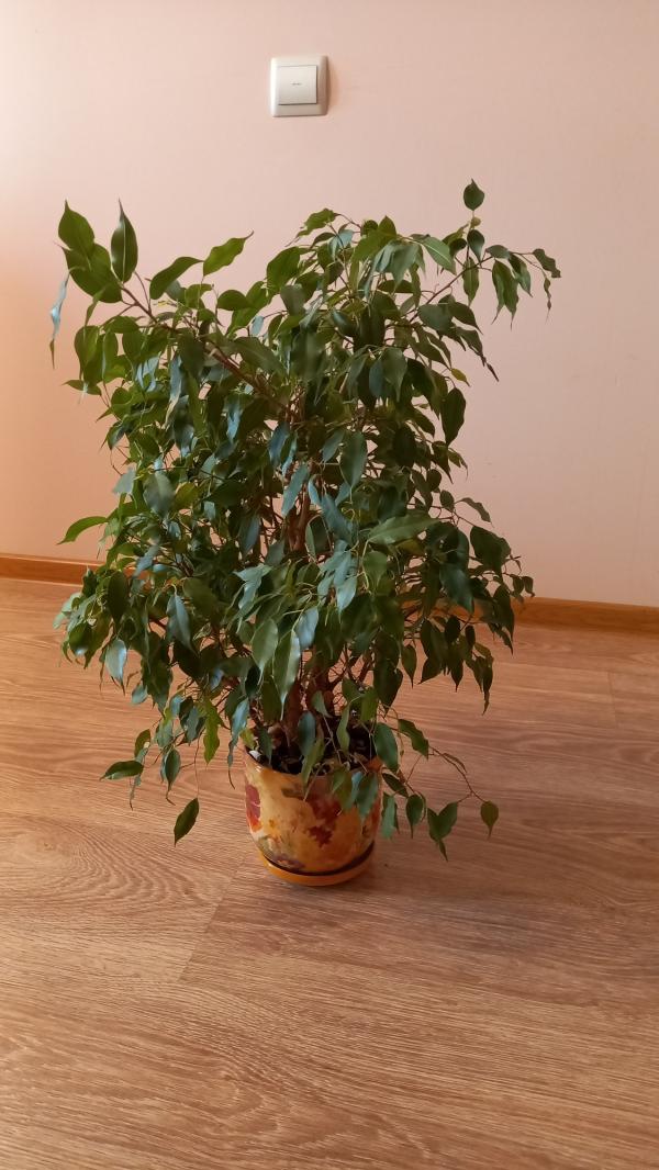 post image 5