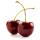 cherryveri
