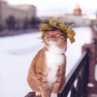 Ксения