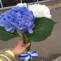 марина