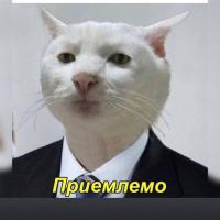 Lera Gr8