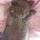 sashka010913