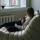 kn_olesya