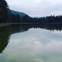 Арина 
