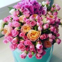 Ирина Славная
