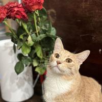 Катерина