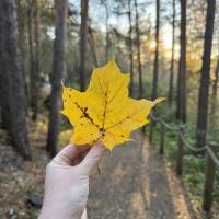 elya_a