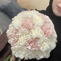 Amina