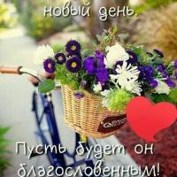 Мама Сыночка