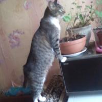 Марина