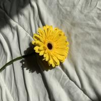 ♥️