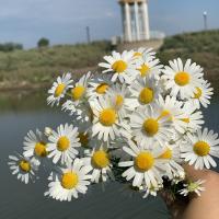 Муртазаева 