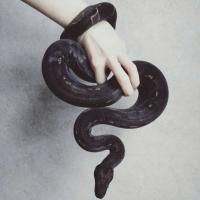 infernal_queen