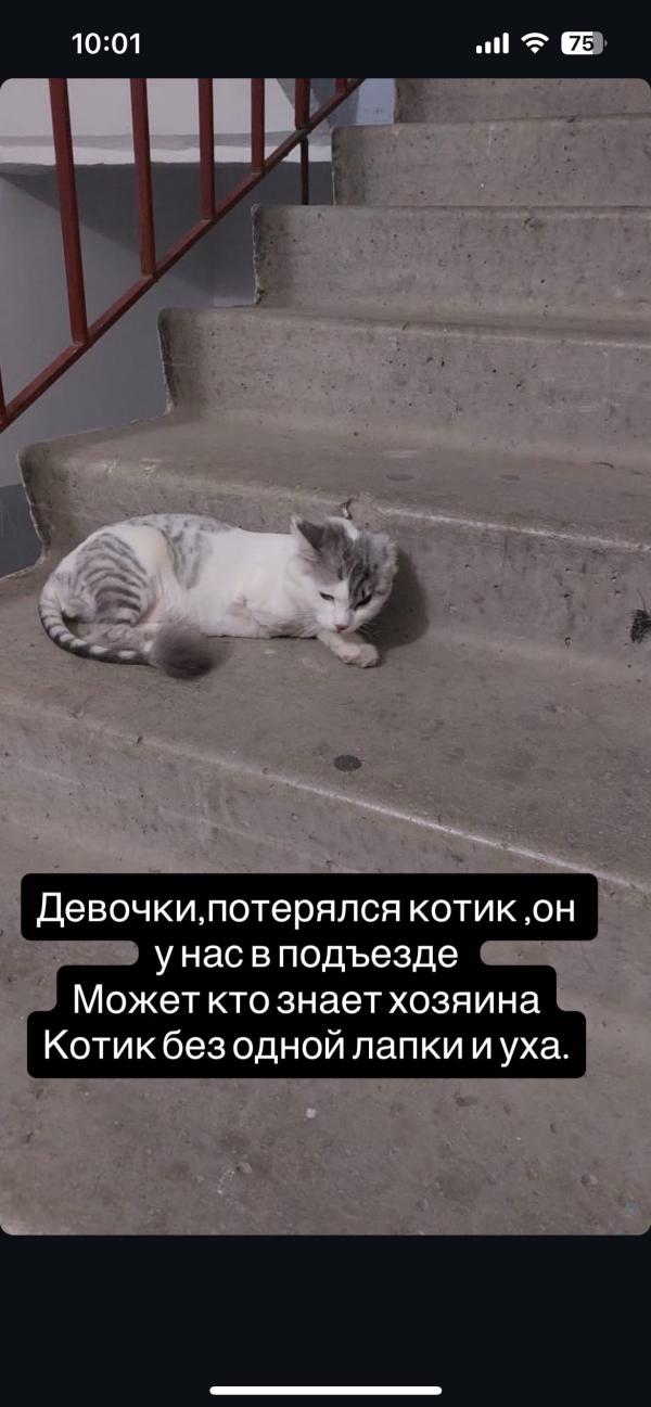 post image