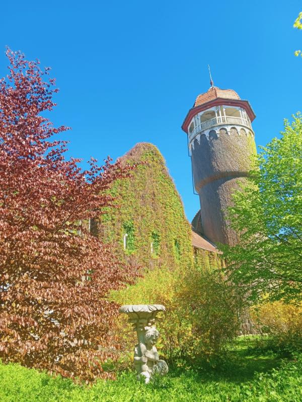 post image 5