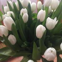 Алена Васильева