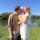 lovehelen2602