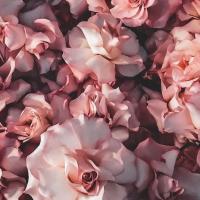 Alexandra Akvinskaya