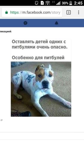 post image